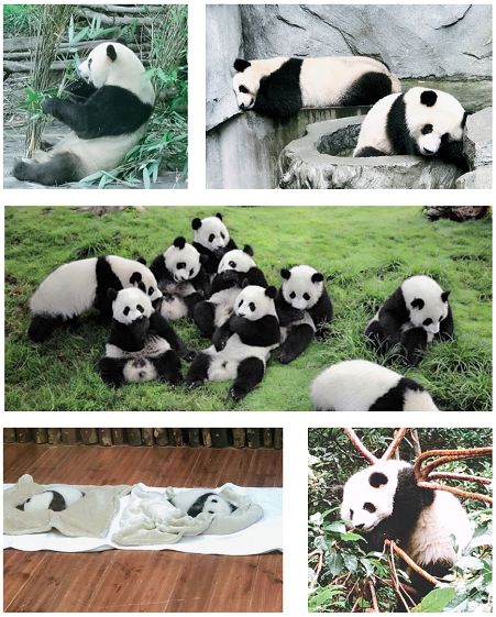 最新价格资讯,洞悉市场动态,把握商机