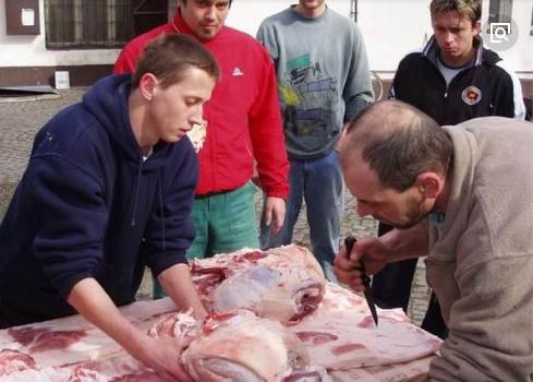 最新电击猪,高科技产品重塑生活,体验前所未有的智能之旅