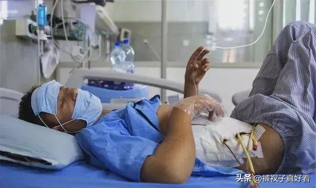 最新狼窝电影,深度探讨与解析