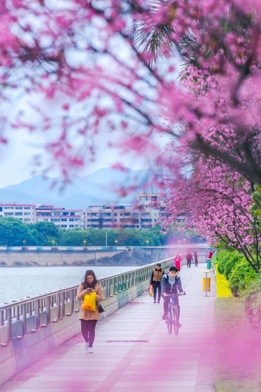 梅县疫情最新,大自然中的微笑与平静之旅