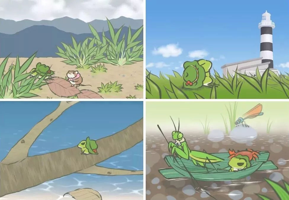 青蛙最新ID,一场自然美景的探索之旅,寻找内心的平和与喜悦