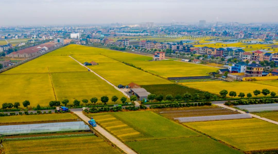 萧山最新直播——日常趣事与朋友间的情感纽带