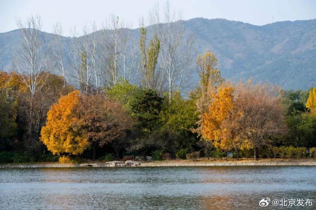 北京最新疫苗,一场探索自然美景的轻松之旅