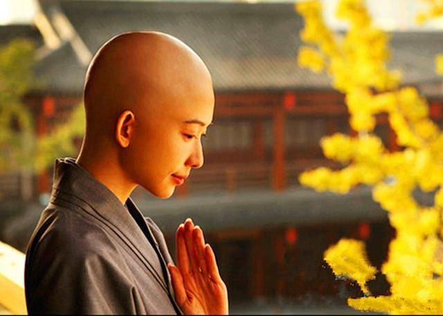 光头佬最新的日常故事