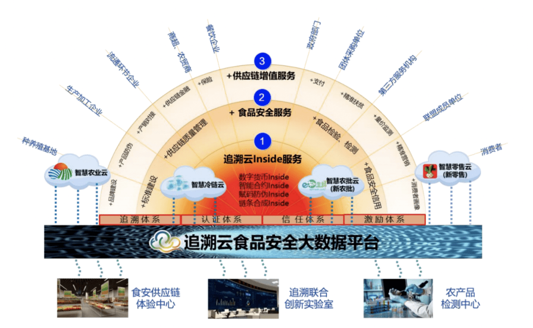 云同伴最新,追溯背景,探寻其在时代中的独特地位
