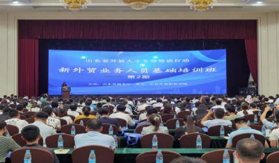 榆树最新报价,时代的见证与地位的彰显