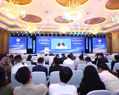 榆树最新报价,时代的见证与地位的彰显