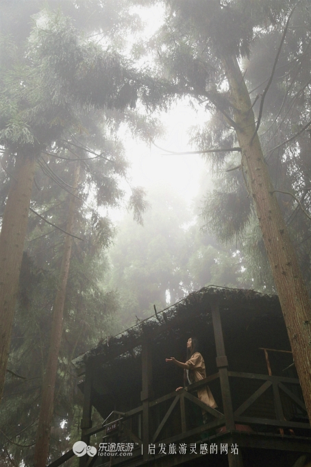 油锯最新价格,一场自然美景的探险之旅