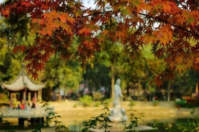 最新找对象攻略🔥 一起走进爱的世界💑