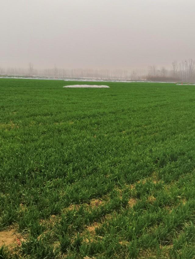 本日最新疫情，时代背景下的严峻挑战