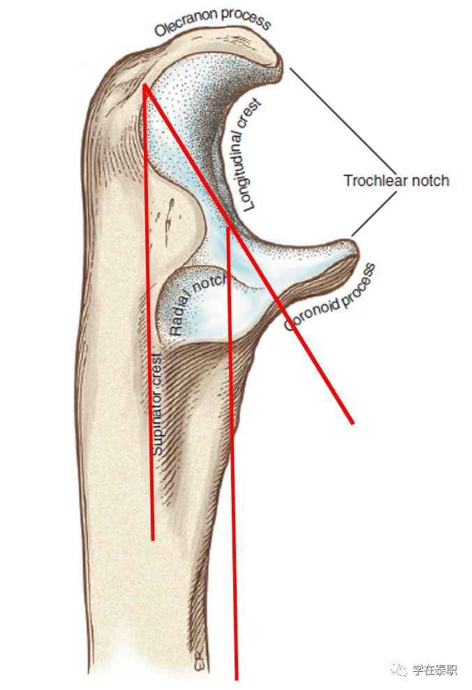 警棍术最新,演变、应用与重要性