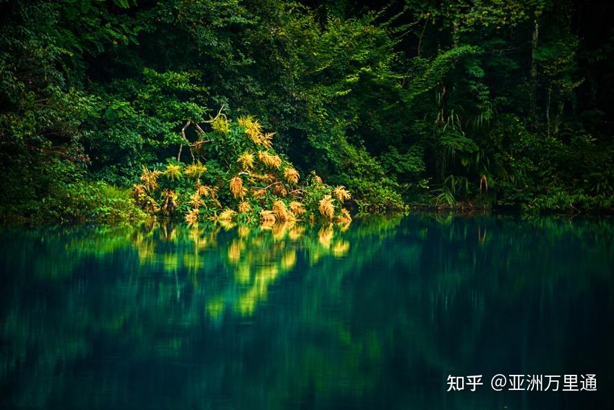 美孚最新动态,探索自然美景的诗意之旅,寻找内心的平和绿洲