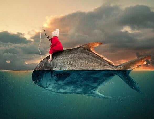 幻星辰最新,一场寻找内心平静的旅程