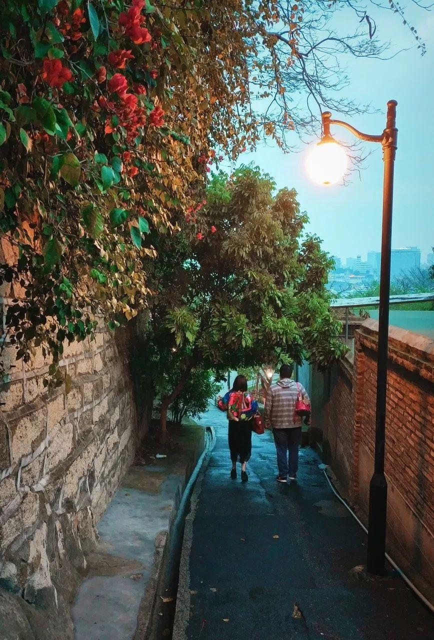 最新疫情最新消息11月,巷弄深处的美食秘境