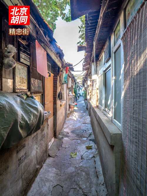 最新柔力球,深藏小巷的神奇小店