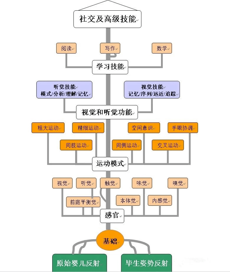 上学最新动态,如何高效学习与发展技能的综合指南