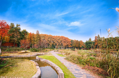 最新萌影视,探索自然美景的治愈之旅
