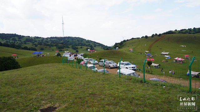 山东最新管制,一场自然美景的探索之旅