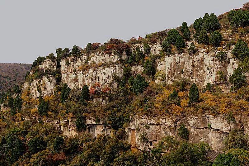 临朐马最新,带你领略不一样的风采✨