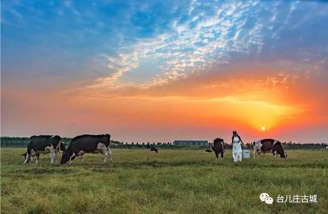 牧神记最新章节,探索自然美景的旅程,寻找内心的平静