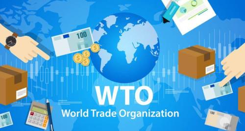 WTO的最新成员,全球贸易的新力量