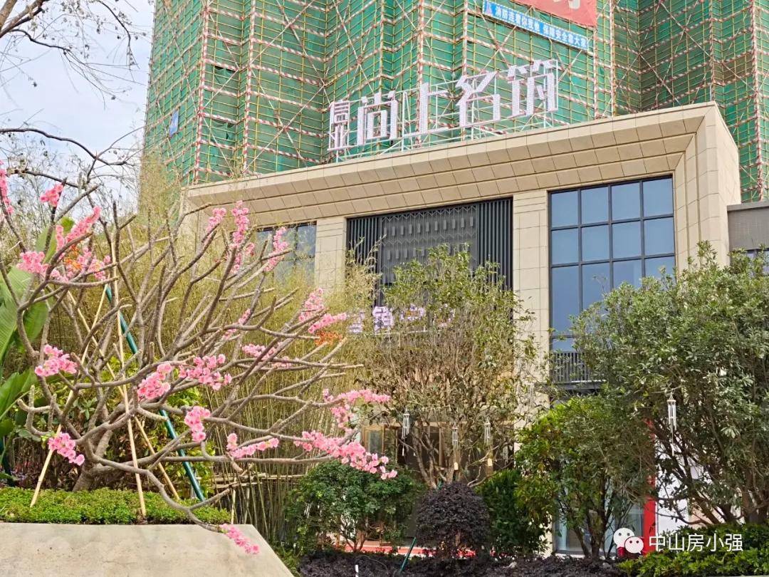 鸡的最新价格,详细步骤指南