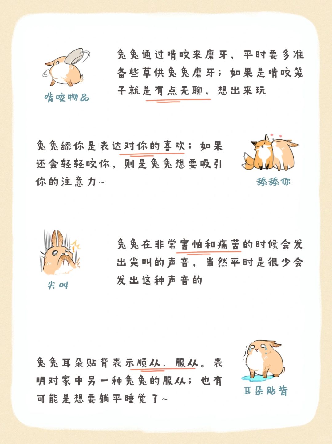 最新兔兔贼,一种引人注目的现象探讨