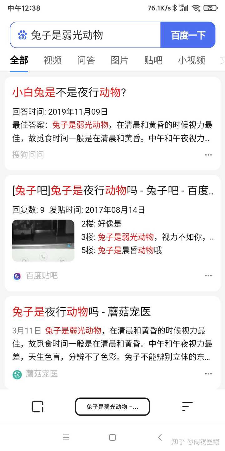 最新兔兔贼,一种引人注目的现象探讨