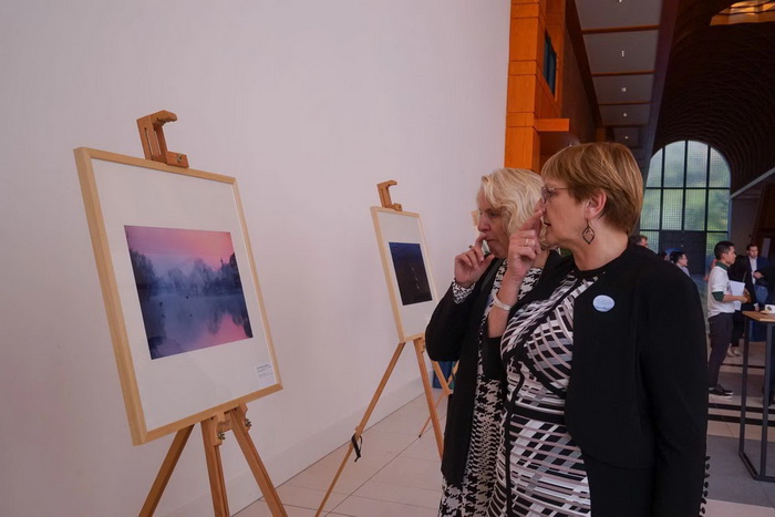 苏素的最新动态,一场文化与艺术的交融之旅