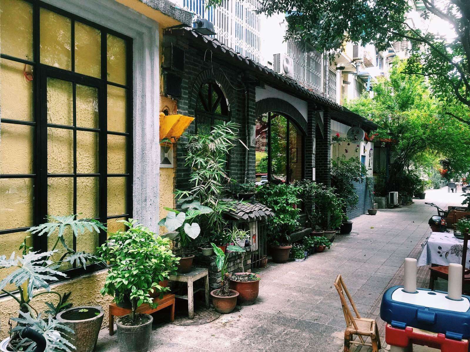 网易最新疫情通报,巷弄深处的独特风味——探访隐藏在小巷中的特色小店