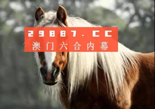 澳门精准一肖一码准确今晚,行业解答解释落实_限量款90.071