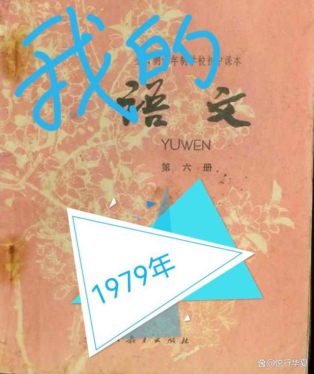 我的1979最新免费阅读小说全文在线观看