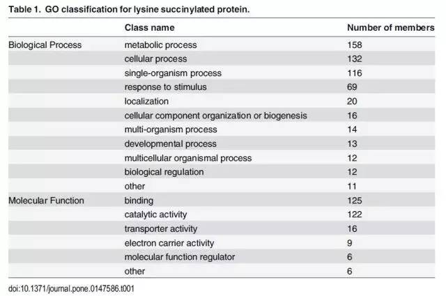 2024新澳免费资料,系统化验证解析说明_国行款6.105