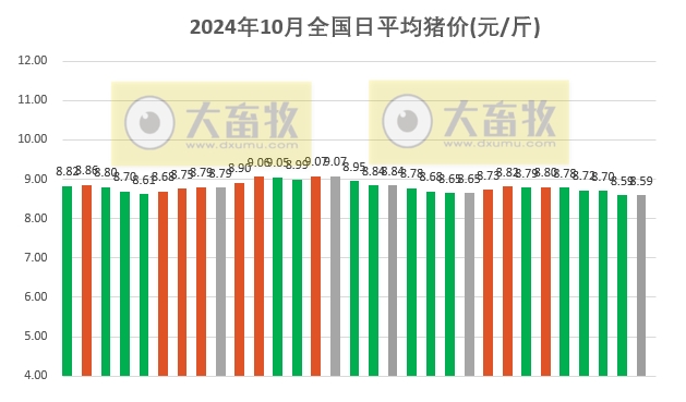 今日最新猪价格表，猪市风云中的温情故事