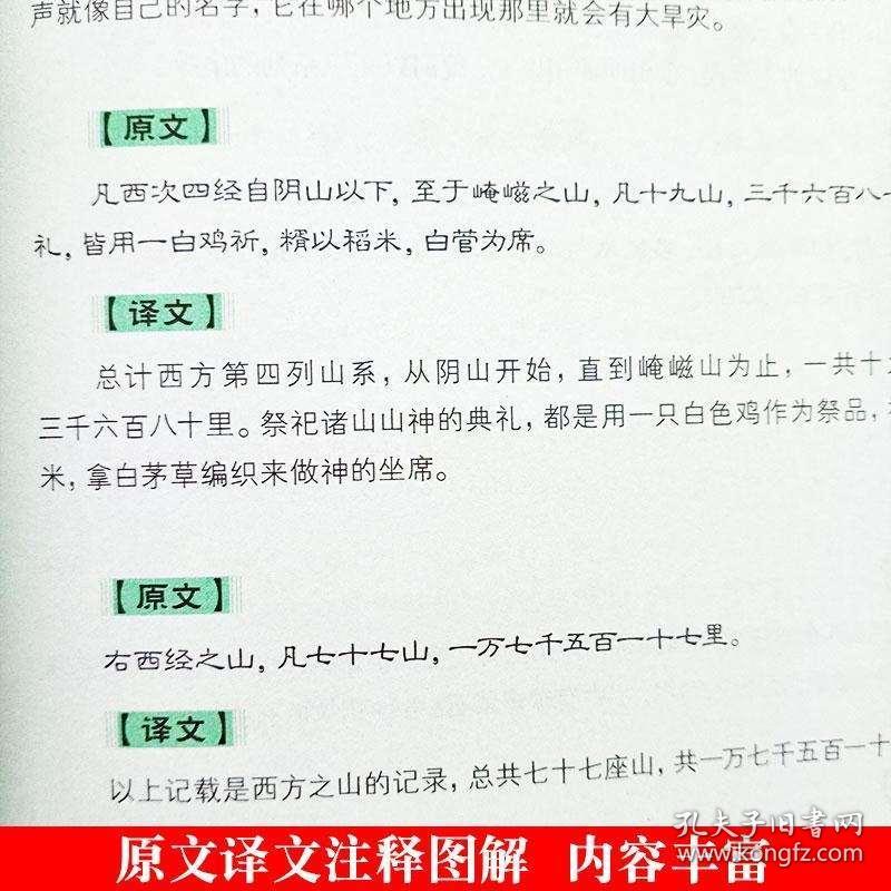 新澳门彩历史开奖结果走势图,资质解答解释落实_顶尖版13.495