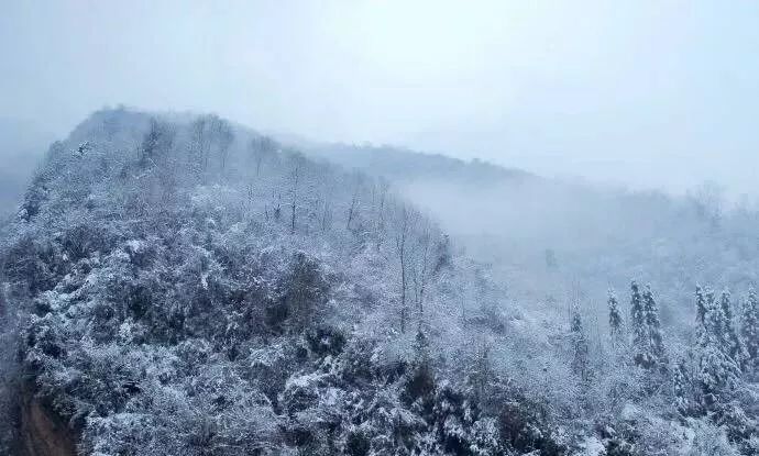 最新武侠片，探索自然美景的旅行，寻找内心的平和