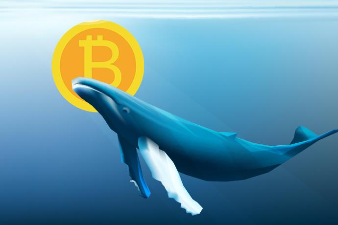 澳门免费资料大全精华策略揭秘:RVP922.57安全指南