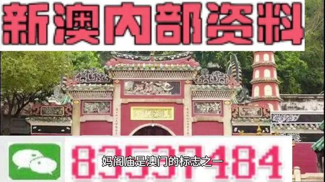 2024新澳精准资料大全,《藏戏》词语解析_99.94.13潘展乐