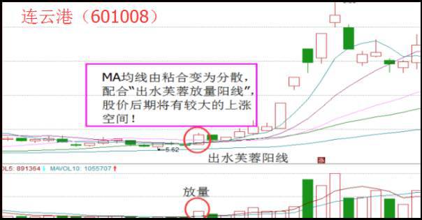 管家婆精准三码必中，详尽策略解析_ZVK68.565稳定版