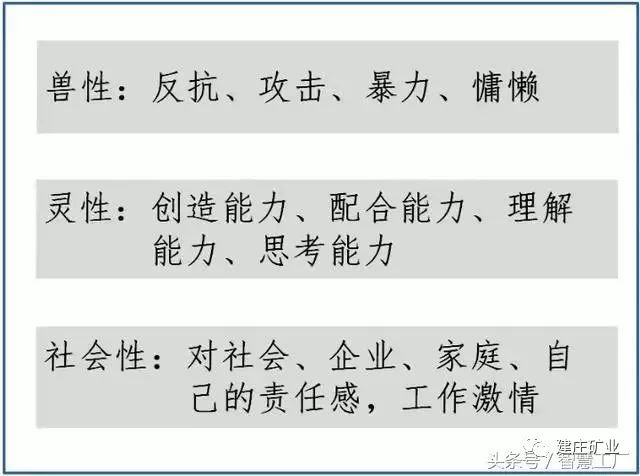 “特一肖三期内必中，高效执行秘籍_XPT68.255尖端版”