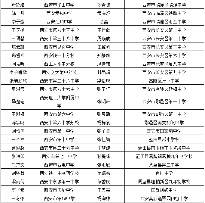 2024年11月20日 第131页