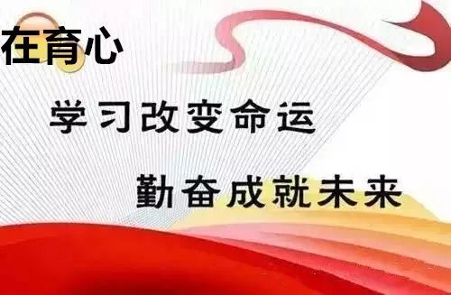 2024年11月20日 第130页