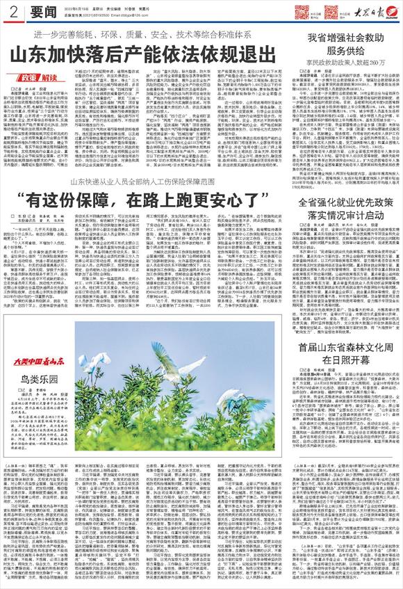今日山东棉花最新价格,获取与理解指南