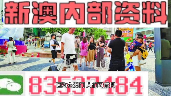 2024新澳精准正版资料大全,专业地调查详解_RUW83.104随身版