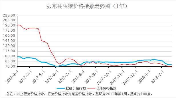 东海今日最新猪价与我们的温馨故事