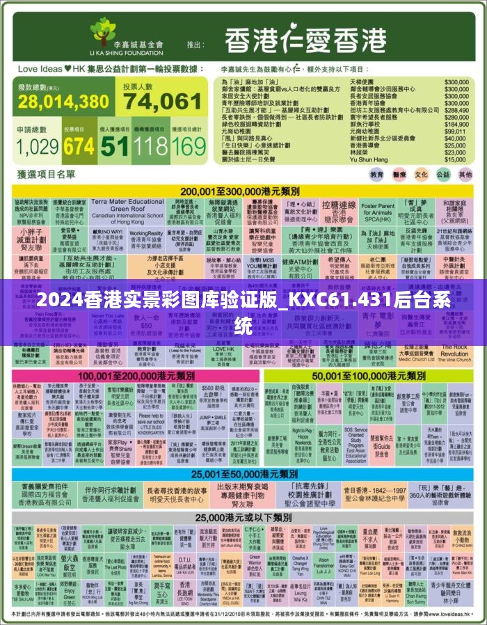 2024香港内部正版大全,专业地调查详解_KKC79.365美学版