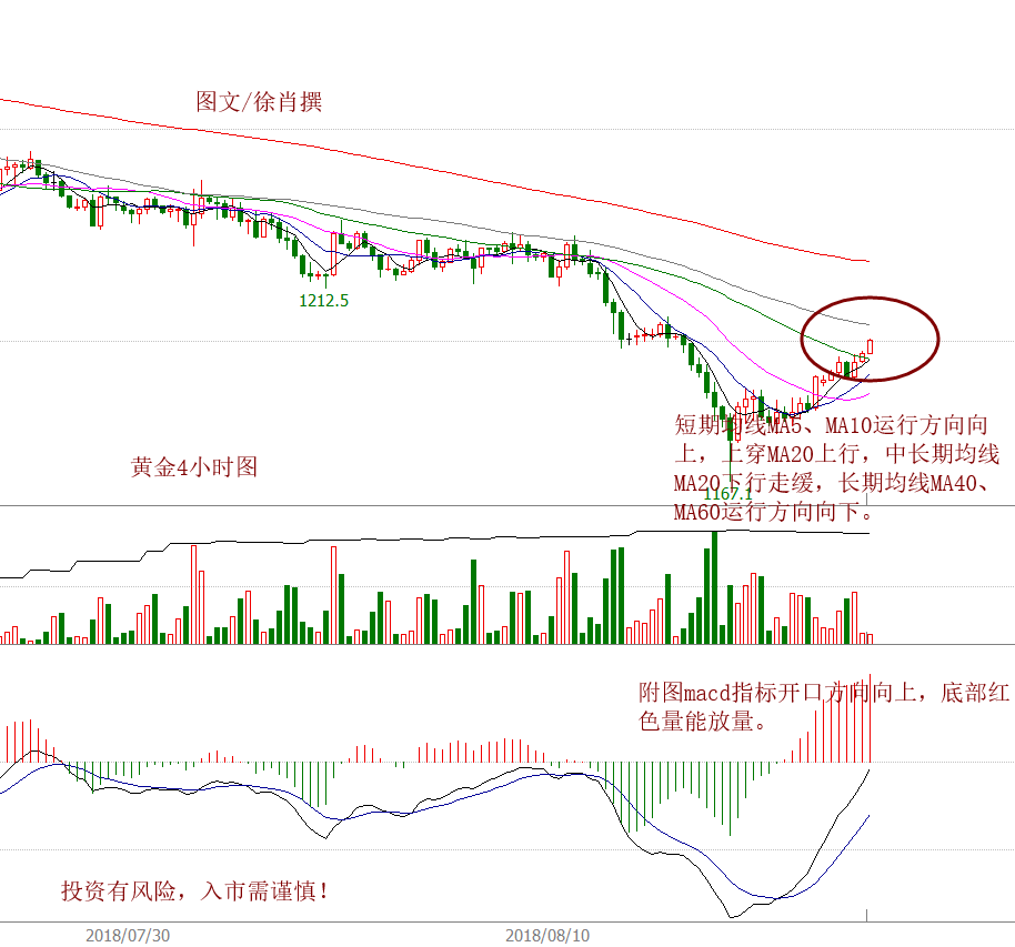 一肖一码一一肖一子深圳,深层设计策略数据_铂金版26.184