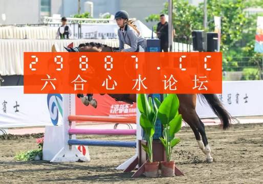 2024澳门天天六开彩免费,实践验证解释定义_Elite78.927