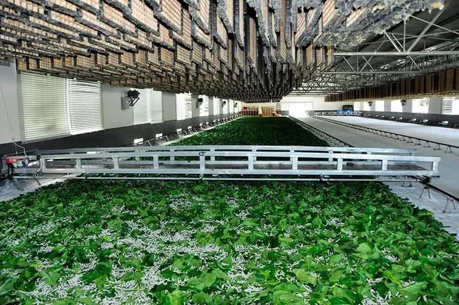 澳门最精准正最精准龙门蚕,深入研究解释定义_iShop55.117