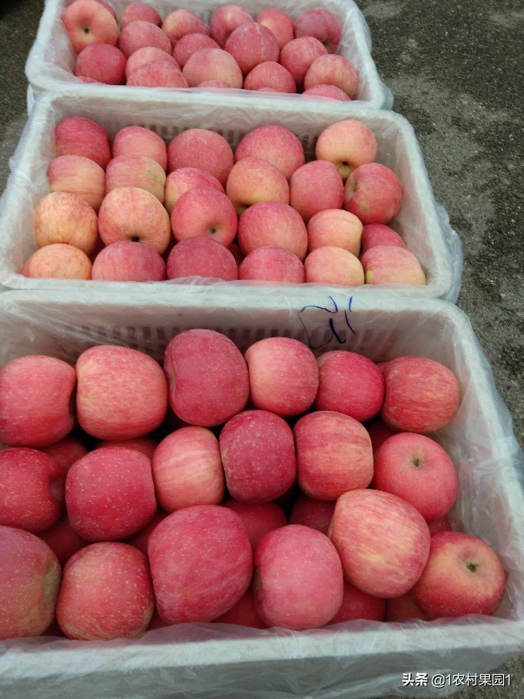 苹果最新款产品大揭秘🍎🎉